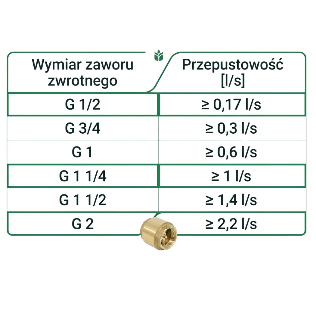 wykres Zawór zwrotny 2" (GW) gwint wewn.